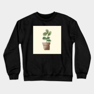 Ficus plant in a pot Crewneck Sweatshirt